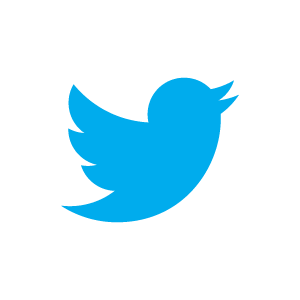 Twitter muss Nutzerdaten an Gericht melden